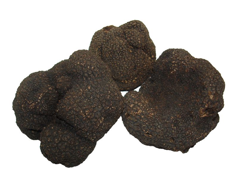 RESTAURANTE EN SORIA