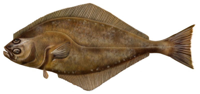 RESTAURANTE EN SORIA